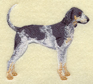 Bluetick Coonhound