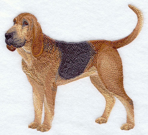 Bloodhound