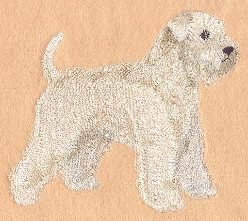 Wheaten Terrier