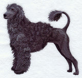 Portuguese Water Dog