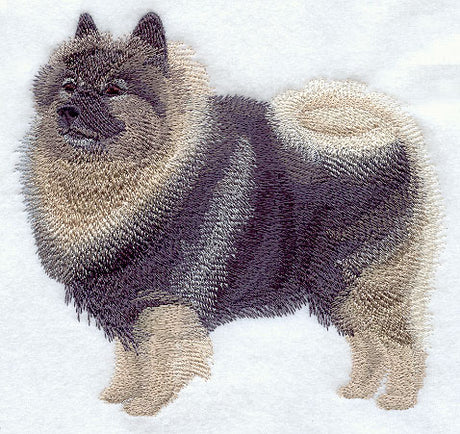 Keeshond