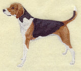 American Fox Hound