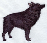 Schipperke