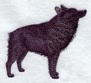 Schipperke