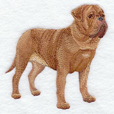 Dogue de Bordeaux