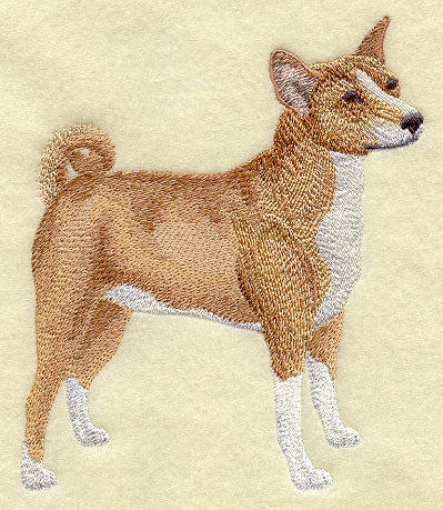 Basenji