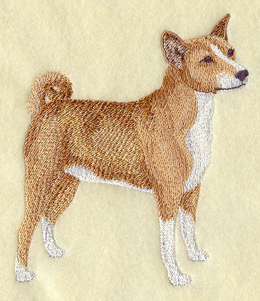 Basenji