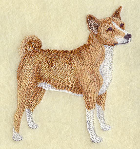 Basenji