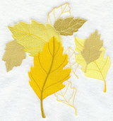 Birch Leaf Montage
