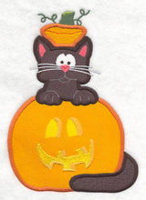 Cat in Pumpkin Front