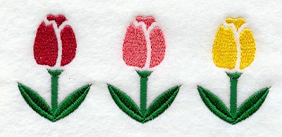 Tulip Trio