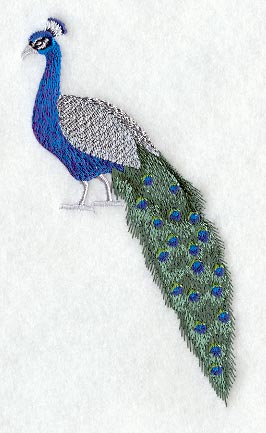 Peacock and Frame