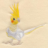 Pied Cockatiel