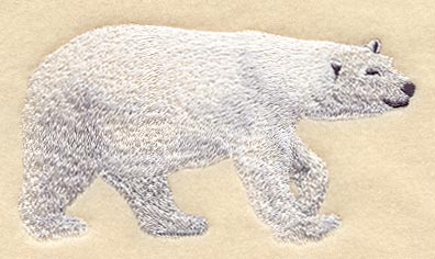 Polar Bear - Walking