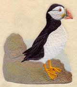 Puffin