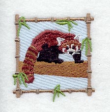 Red Panda Square I
