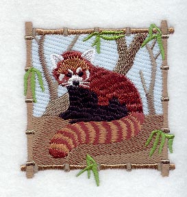 Red Panda Square II