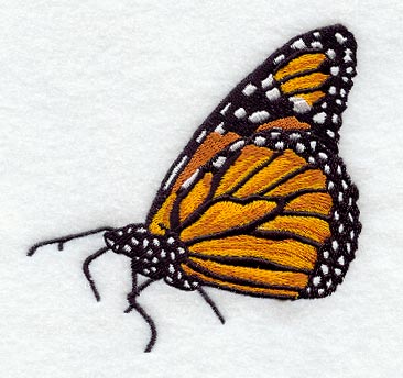 Resting Monarch Butterfly
