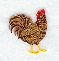 Rooster
