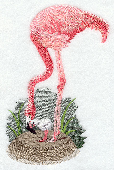 Flamingo & Baby