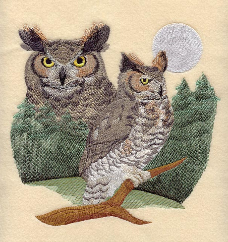 Great Horned Owl Scene