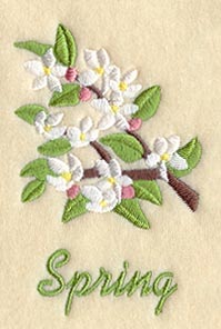 Seasonal Branches - Spring