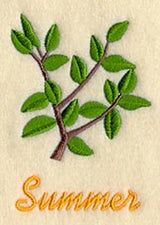 Seasonal Branches - Summer