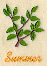 Seasonal Branches - Summer