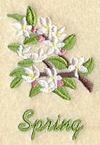 Seasonal Branches - Spring