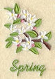 Seasonal Branches - Spring
