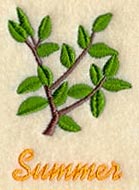 Seasonal Branches - Summer