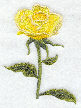 Yellow Rose