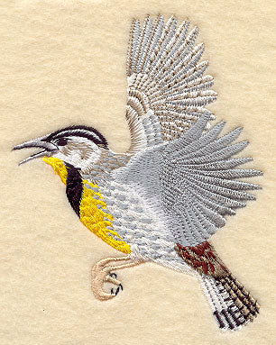 Flying Meadowlark