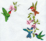Four Hummingbirds