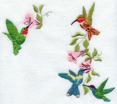 Four Hummingbirds