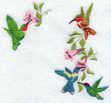 Four Hummingbirds