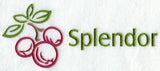Splendor Cranberries