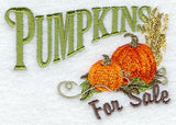 Pumpkins for Sale