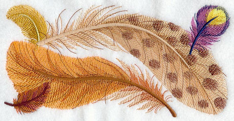 Fancy Feathers Border