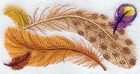 Fancy Feathers Border