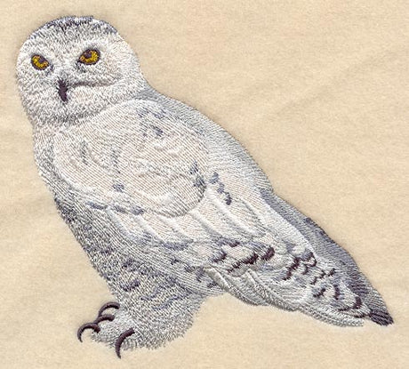 Snowy Owl