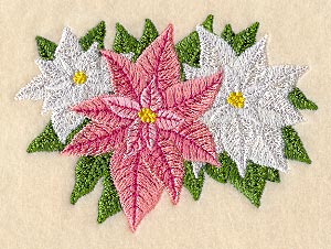 Elegant Poinsettias