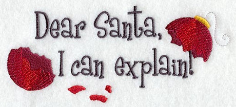 Dear Santa, I Can Explain!