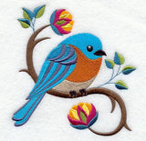 Perching Pretty Bluebird