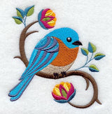 Perching Pretty Bluebird