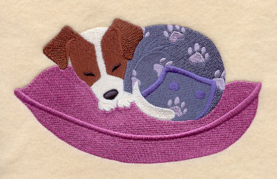 Jack Russell Terrier in Pajamas