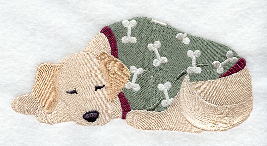 Golden Retriever in Pajamas