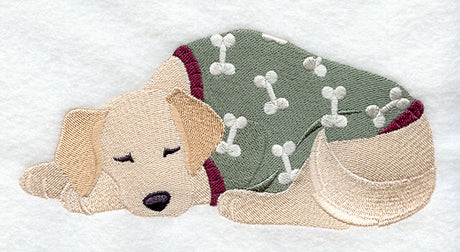 Golden Retriever in Pajamas