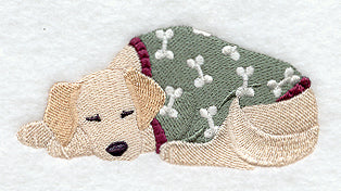 Golden Retriever in Pajamas