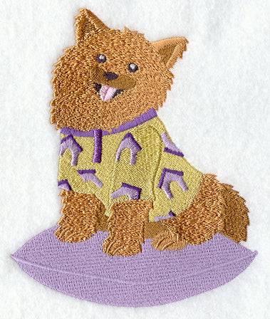 Pomeranian in Pajamas